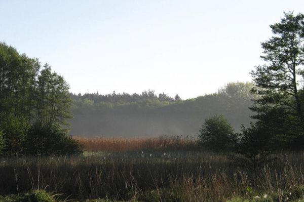 Fewo Ferien Am Schweriner See Flessenow Exterior photo